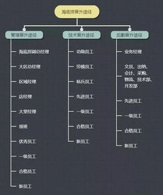 餐饮业四大管理原则 解析海底捞的成功密码